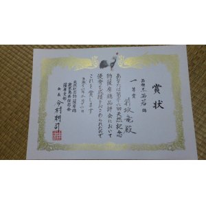 画像: 展覧会の結果！　薩摩鶏【赤笹】（若鶏）