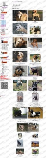 画像: 愛犬写真館