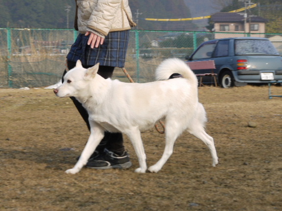 画像: 今日の一枚！