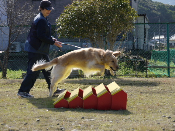 画像: 今日の一枚！　ラベンダー　ちゃん